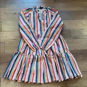 J. Crew Multicolor Striped Long Sleeve Dress